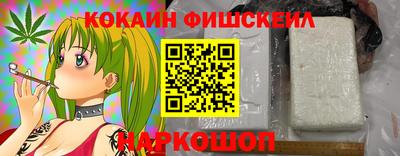 шишки Камышлов