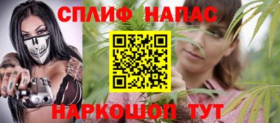 шишки Камышлов