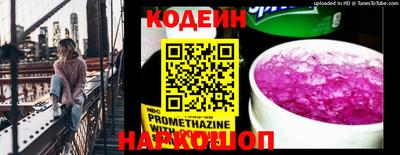 шишки Камышлов