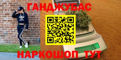 шишки Камышлов