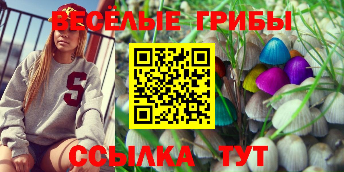 Псилоцибиновые грибы GOLDEN TEACHER Каменск-Уральский